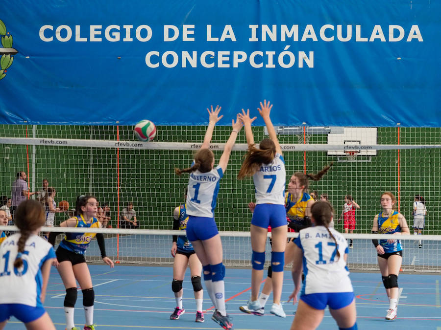 El Torneo Inmaculada crea afición