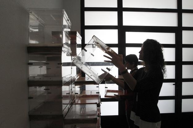 La incertidumbre económica marca el fin de la campaña en Asturias