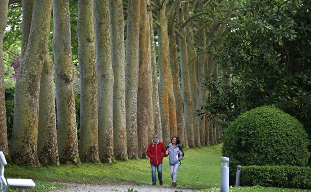 El esplendor de la primavera, en el Jardín Botánico