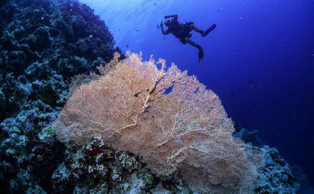 La ONU alerta de que la destrucción de la naturaleza amenaza la humanidad «al menos tanto» como el cambio climático