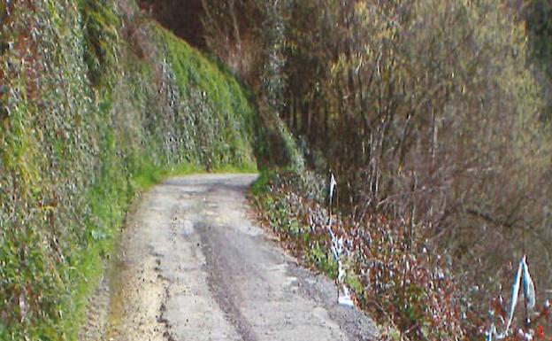 Tineo reparará los argayos caídos en los accesos a Candanedo y La Llaneza