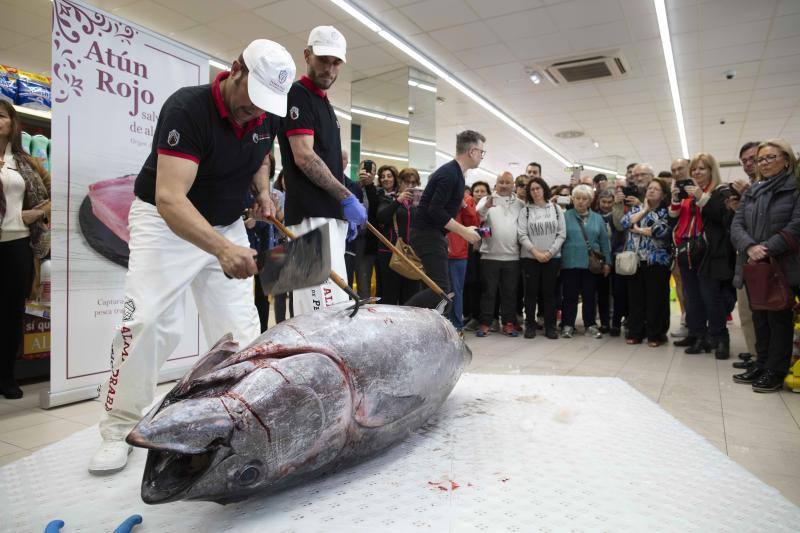 Así se trocea un atún de más de 200 kilos en Gijón