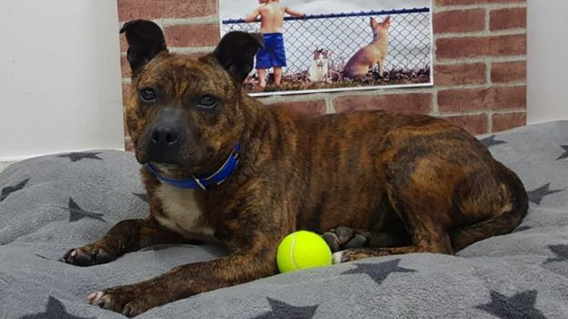 'Raúl' busca una nueva oportunidad