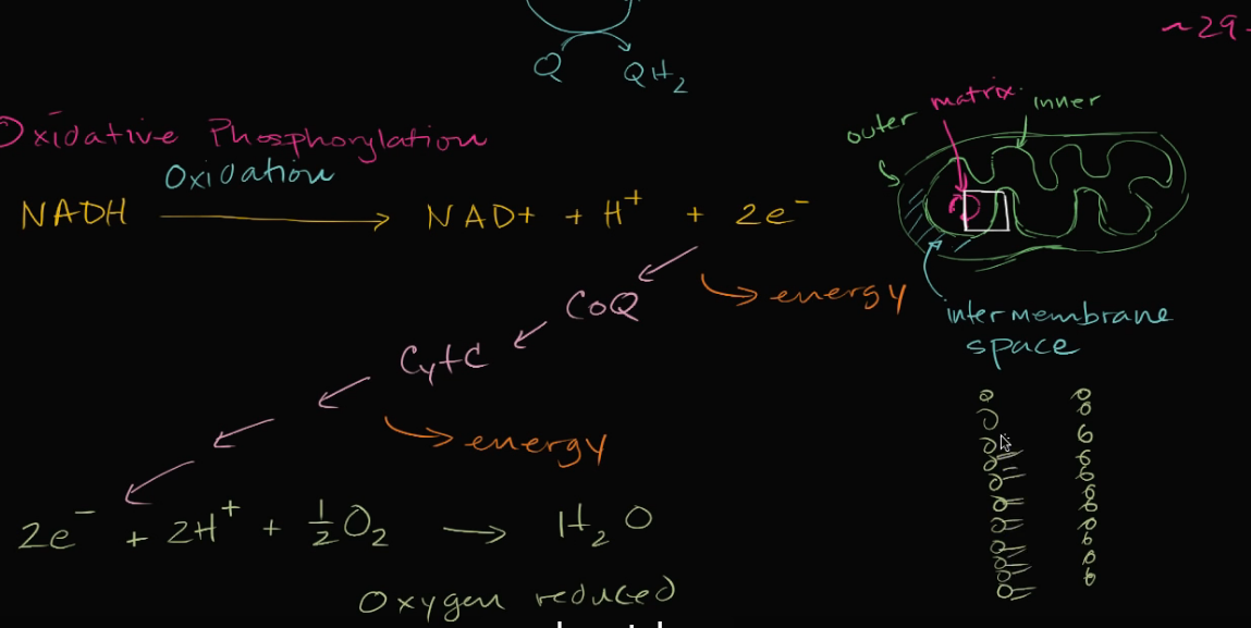 Khan Academy, una forma innovadora de enseñar matemáticas