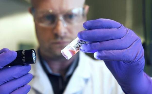 La Universidad diseña un método que detecta cánceres de mama en fase precoz