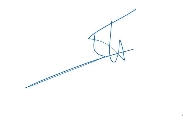 Un trazo rápido, reflejo de «un carácter nervioso»