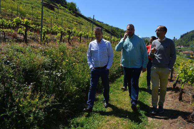 El candidato socialista de Cangas del Narcea propone crear una IGP para el pan