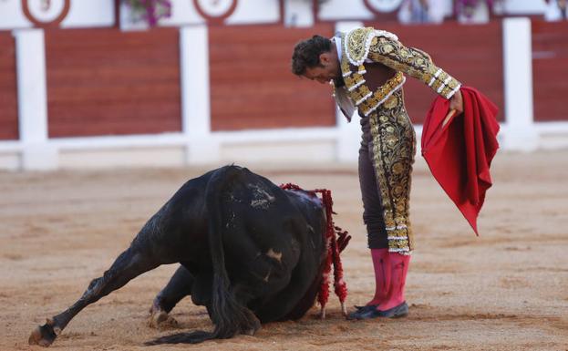 Rescatan al torero Antonio Ferrera tras caer al Guadiana