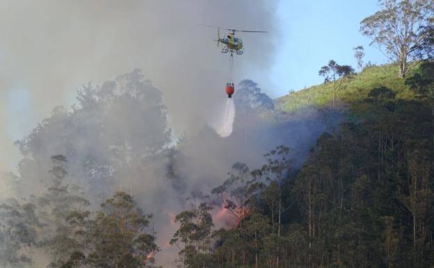 Declarado un incendio en la zona de Monte Alea, entre Parres y Ribadesella
