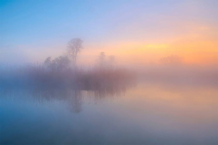 Fotografías de Naturaleza de premio