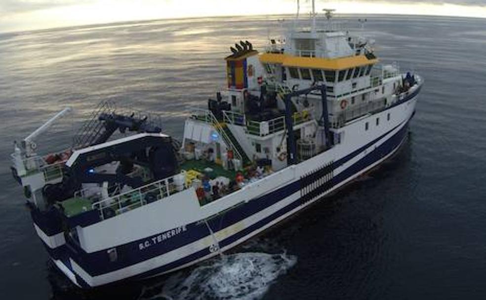 Un paseo por el Oceanográfico de Gijón
