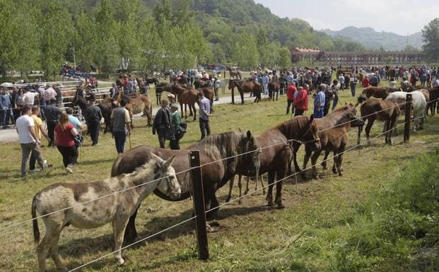 La Feria de La Ascensión de Oviedo reunirá cerca de 150 puestos y ochenta animales de razas autóctonas