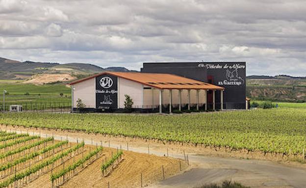 Medalla de oro para un vino del Grupo El Gaitero