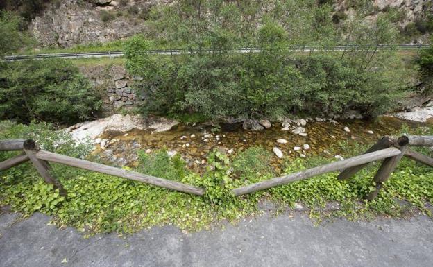 Los empresarios asturianos reclaman una actuación «urgente» en la Senda del Oso