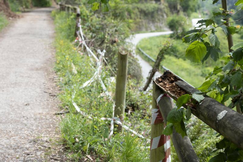 Así está la Senda del Oso