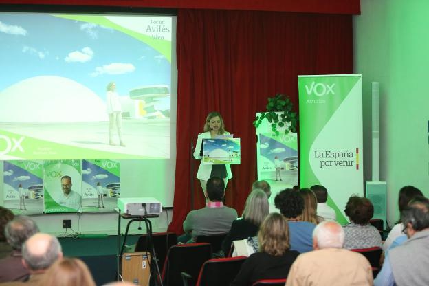 Vox pide «estabilidad» en el precio de la tarifa eléctrica para la industria