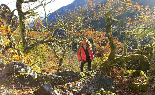 Ruta en Asturias: El bosque de Muniellos