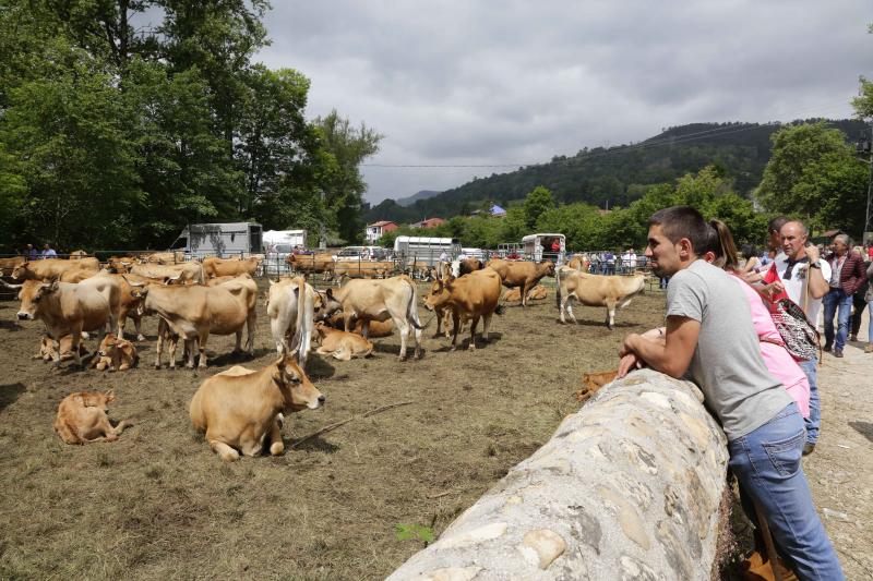 Más de 3.000 reses en la Feriona de Corao