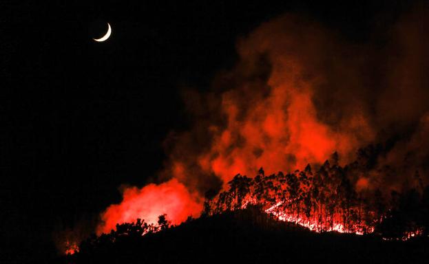 Incendios en el paraíso natural