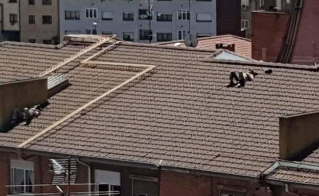 Se suben al tejado de un edificio de Oviedo para tomar el sol