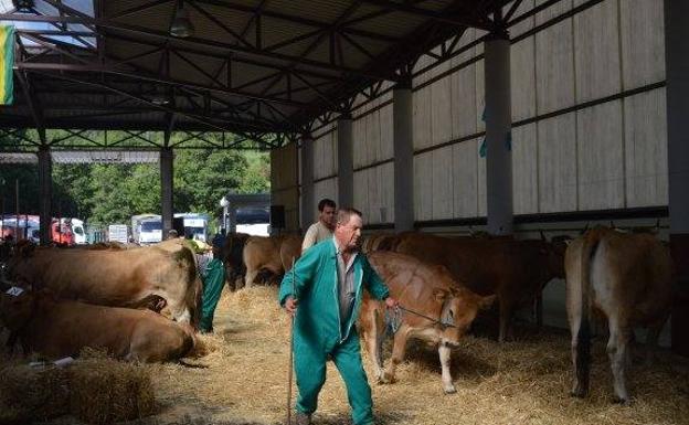 Allande se prepara para la feria de San Antonio