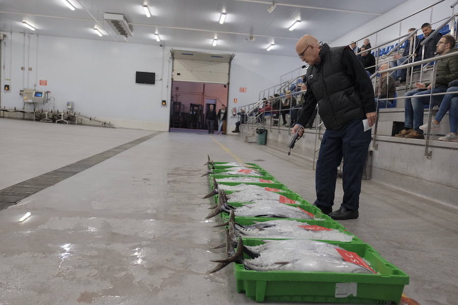Subasta del primer bonito en Gijón