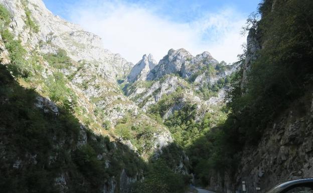 Bosque de Peloño y Foz de los Andamios