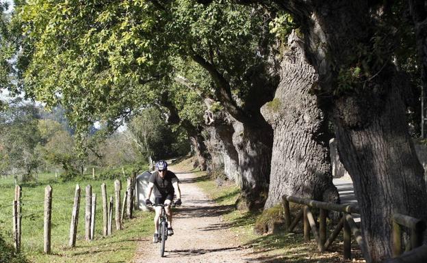 Senda del Peñafrancia