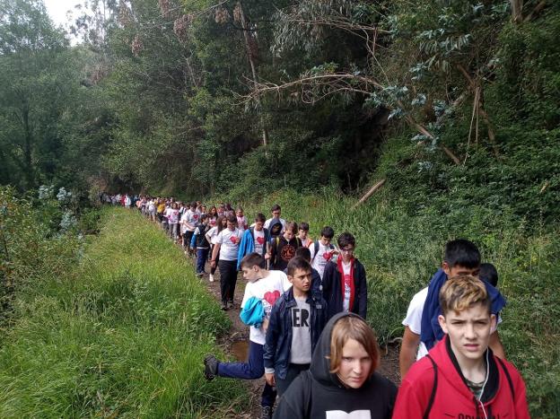 El Foro Comunicación y Escuela se calza las zapatillas por un corazón sano