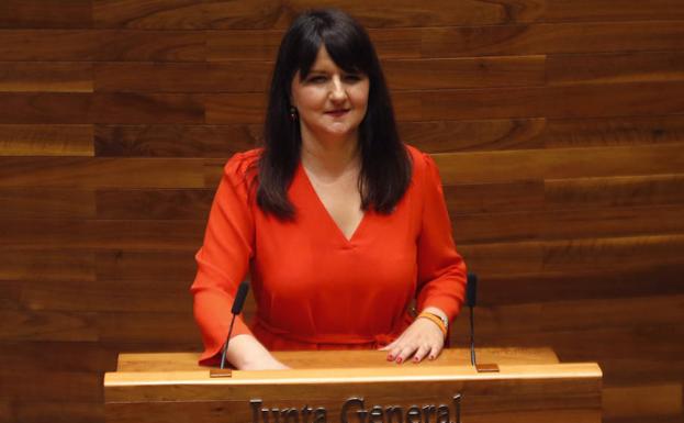 Laura Pérez Macho, portavoz de Ciudadanos en la Junta General