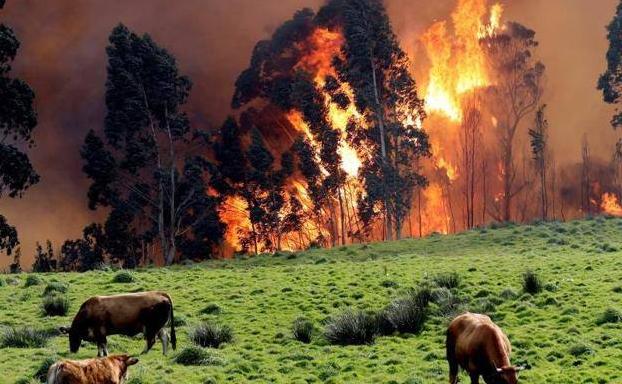 Riesgo alto de incendio mañana en nueve municipios asturianos del suroccidente