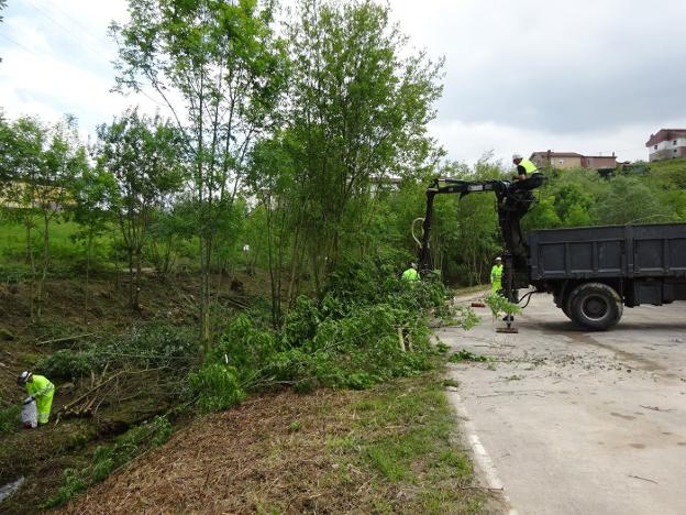 La Confederación limpia el arroyo del Campo en Peñerudes, en Morcín