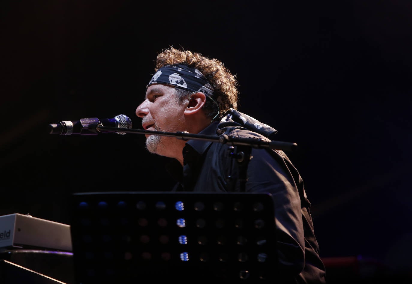 ¿Estuviste en el concierto de Calamaro en Gijón?