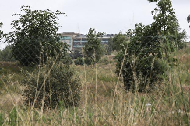La subasta del campo de golf de Los Balagares, de nuevo en el aire