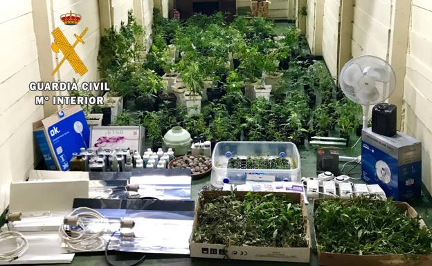 Siete detenidos por tráfico de drogas en el occidente asturiano