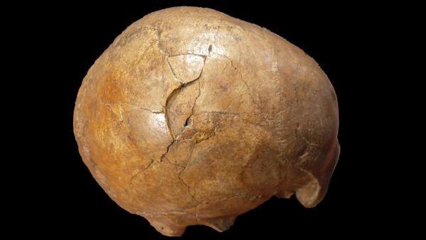 Resuelven un caso de asesinato ocurrido hace 33.000 años en Transilvania