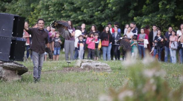 'Nocturnia' cautiva en el Botánico