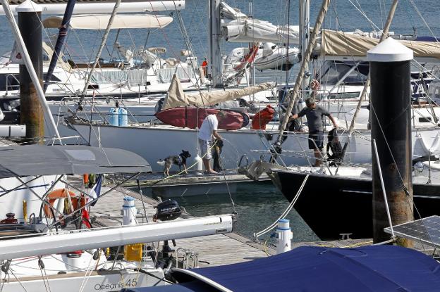 Las matriculaciones de embarcaciones de recreo aumentan un 31,43%