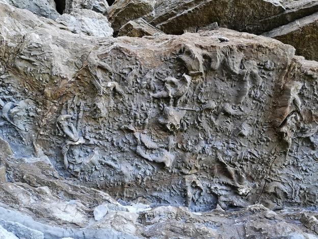 Todo listo para recuperar icnitas