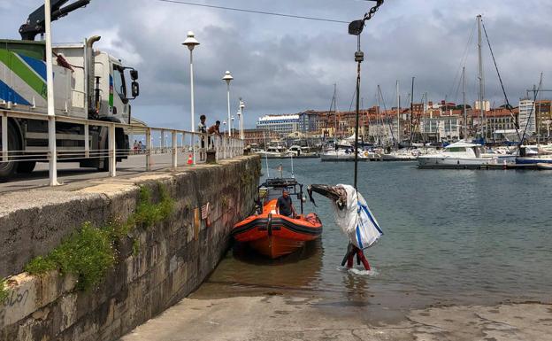 Rescatan el cadáver de un delfín en el Puerto Deportivo de Gijón