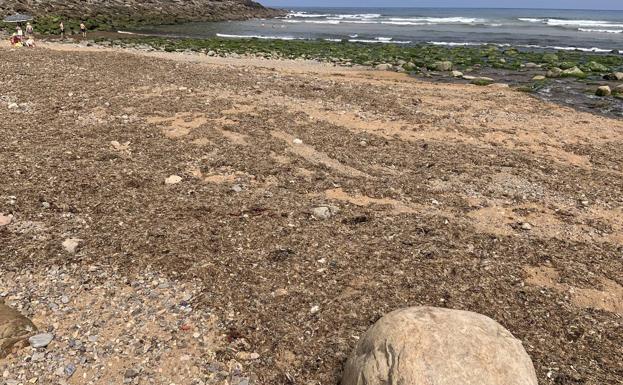 Quejas entre los usuarios de playa España por el estado del arenal