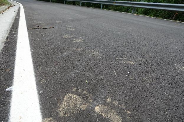Huellas en la carretera prueban la vuelta del oso a Ponga tras décadas