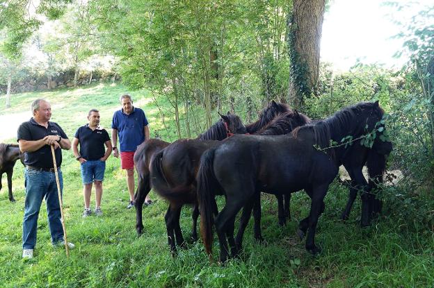 «El interés nacional de la Fiesta del Asturcón traerá más turismo y vida a Piloña»