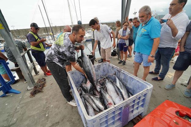 Récord de 664 bonitos en Lastres