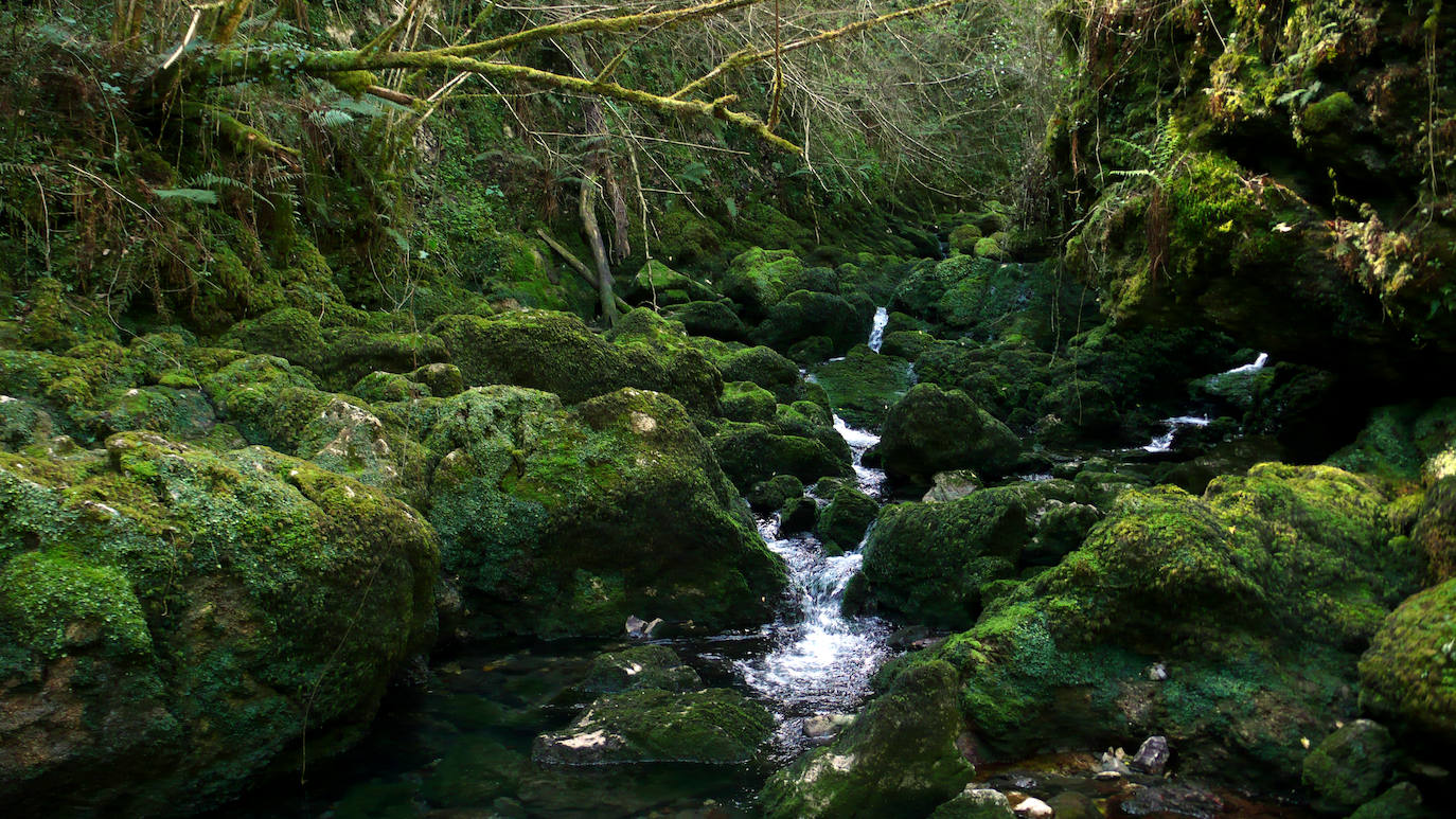 Rincones de Asturias que merece la pena visitar