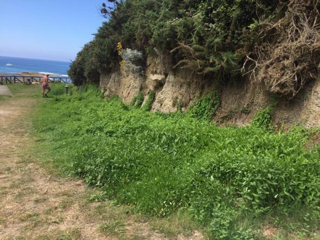 Vecinos de Quintueles exigen soluciones al «abandono» de la playa de La Ñora