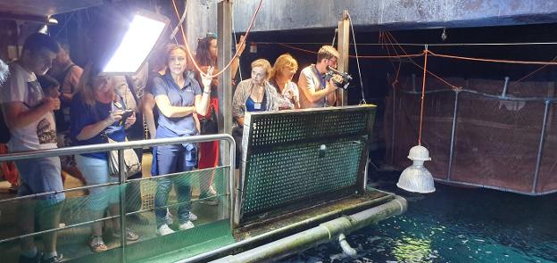 El Acuario enseña su lado oculto