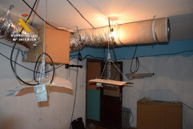 La Guardia Civil desmantela una plantación de marihuana en Quirós