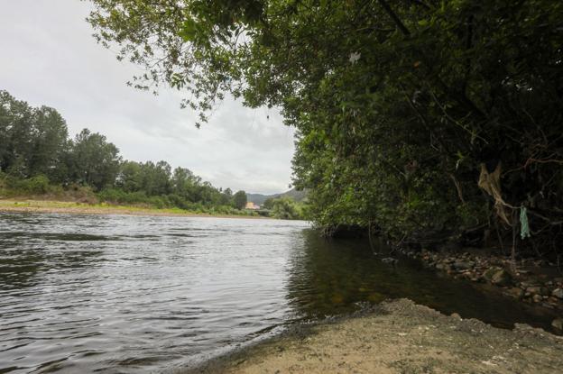Un empleado de Tragsa muere mientras limpiaba el cauce del Nalón en Pravia