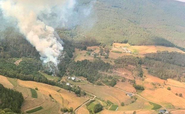 Arde un pinar en Castro de Pendia, en Boal